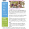 Carers News January 2025